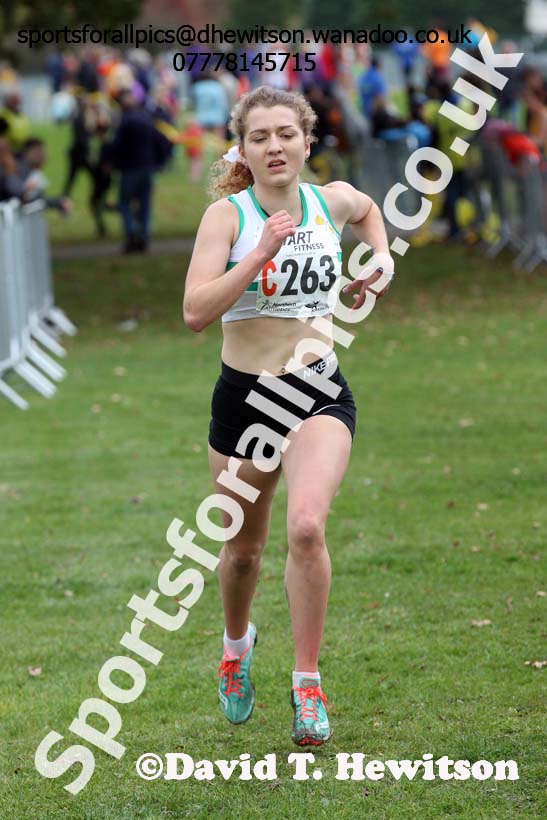Senior womens Northern Cross Country Relays. Photo: David T. Hewitson/Sports for All Pics